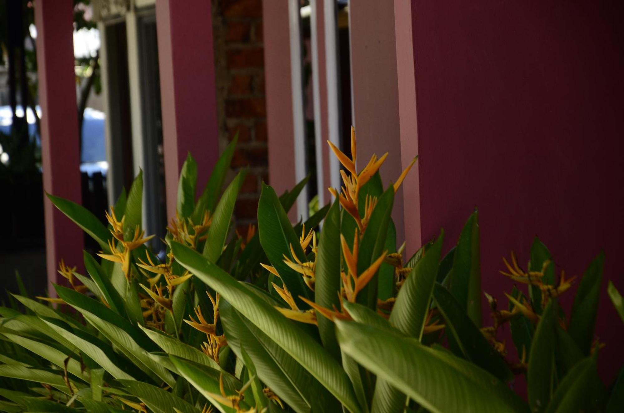 Baronda Guest House Sorong Exterior foto
